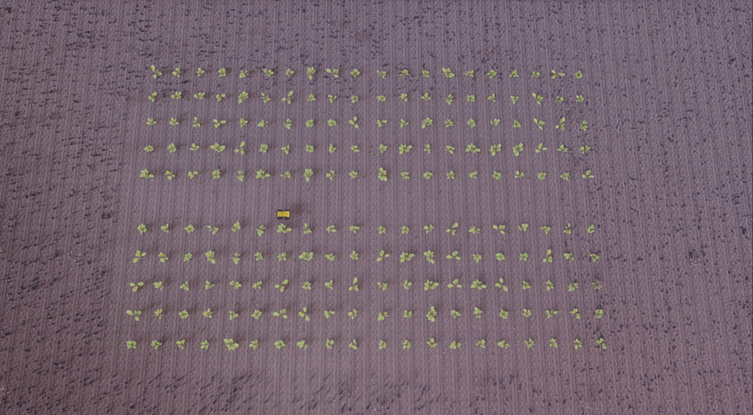 Crop layout example